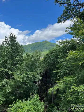 93 Village Pointe Lane Asheville NC 28803