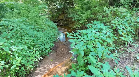 404 Blue Ridge Road Black Mountain NC 28711