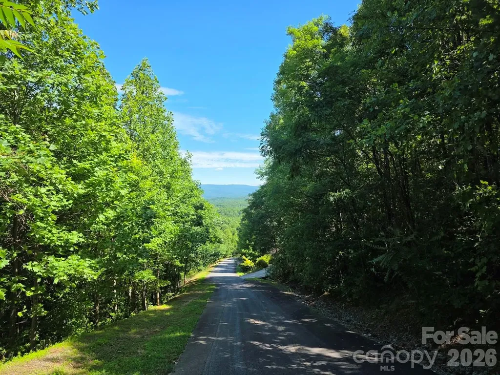 52 Big View Drive Marion NC 28752