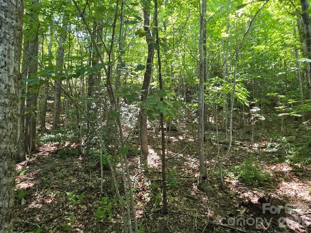 52 Big View Drive Marion NC 28752