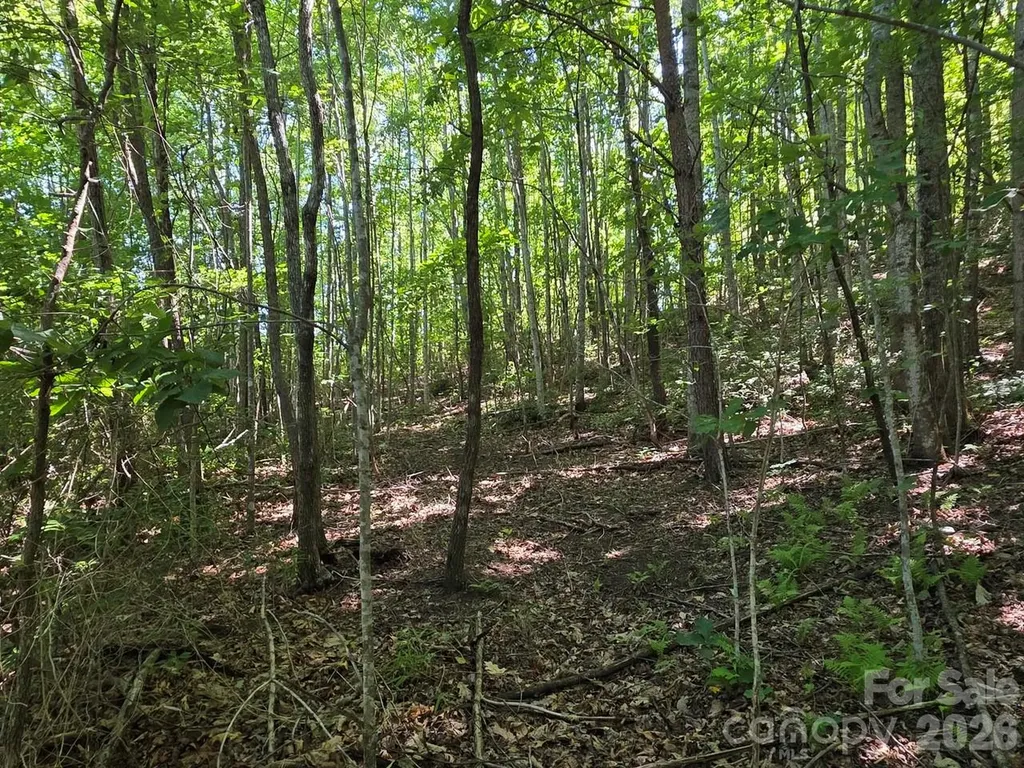52 Big View Drive Marion NC 28752