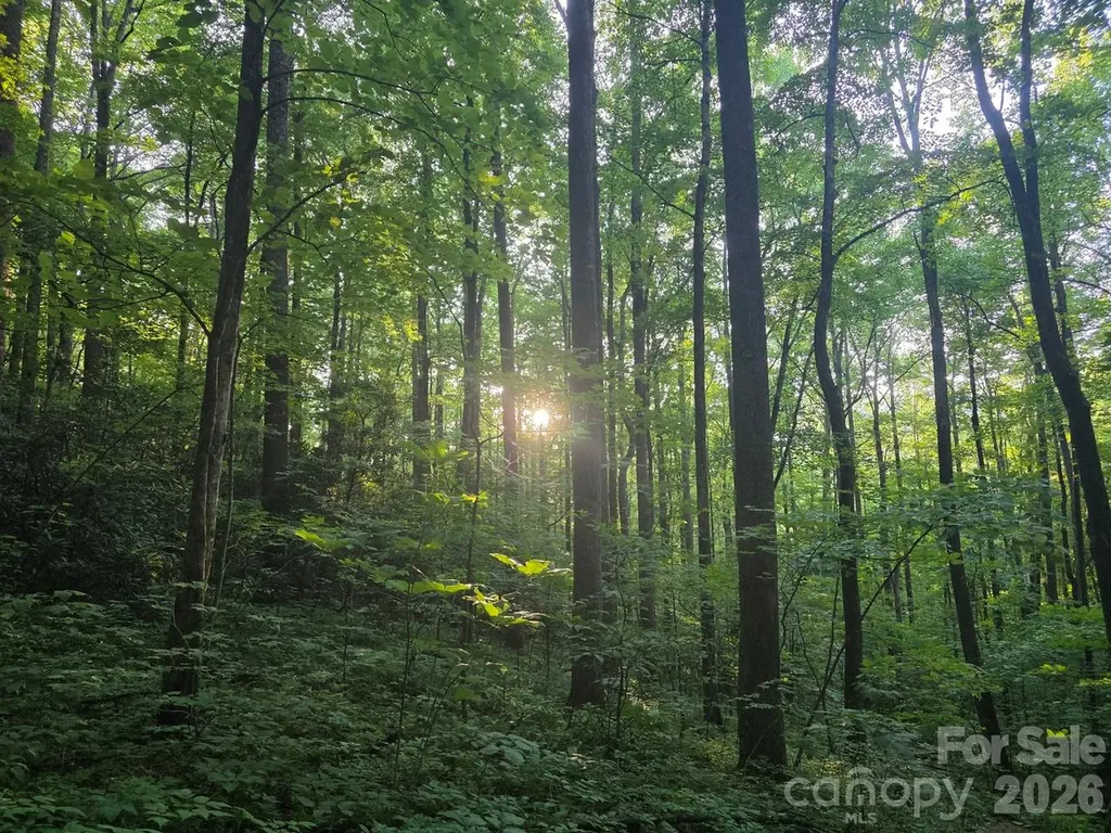 52 Big View Drive Marion NC 28752