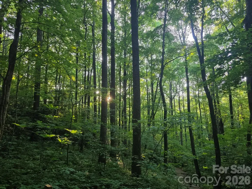 52 Big View Drive Marion NC 28752