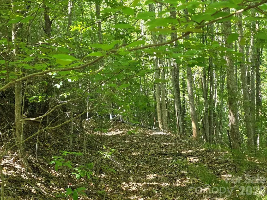 52 Big View Drive Marion NC 28752
