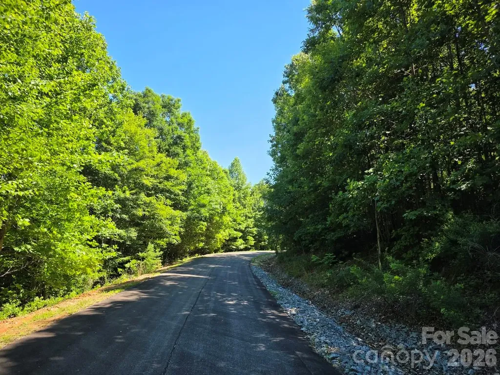 52 Big View Drive Marion NC 28752