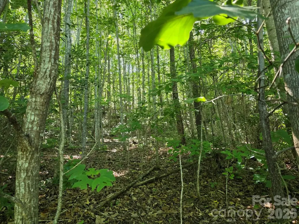 52 Big View Drive Marion NC 28752