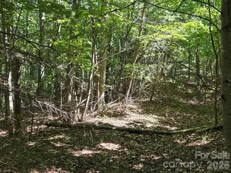 52 Big View Drive Marion NC 28752