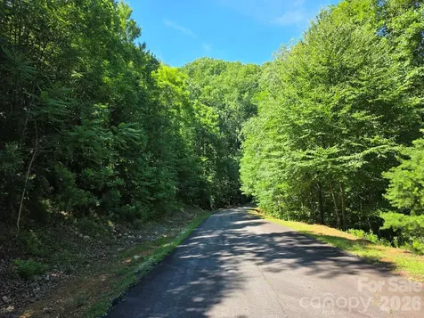 52 Big View Drive Marion NC 28752