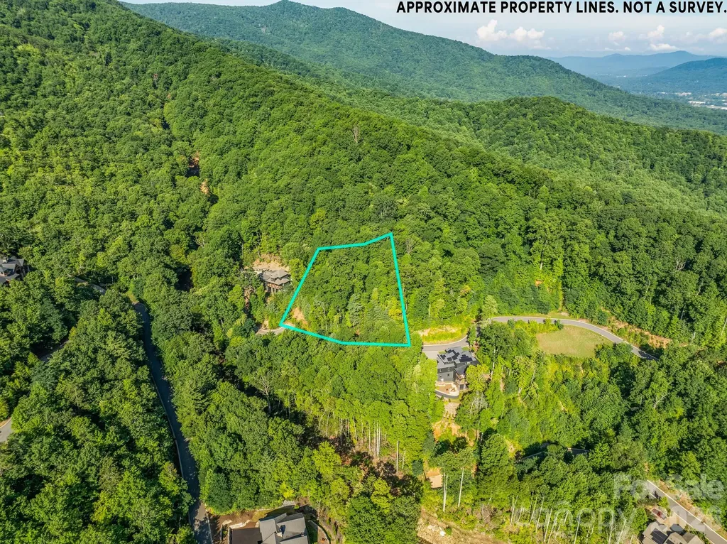 59 Old Greybeard Loop Black Mountain NC 28711