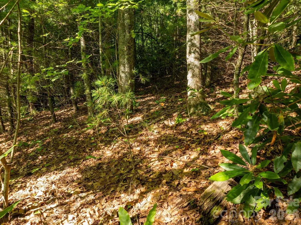 59 Old Greybeard Loop Black Mountain NC 28711