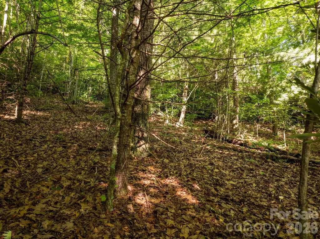 59 Old Greybeard Loop Black Mountain NC 28711