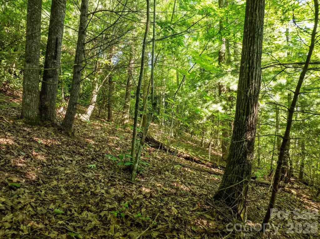 59 Old Greybeard Loop Black Mountain NC 28711