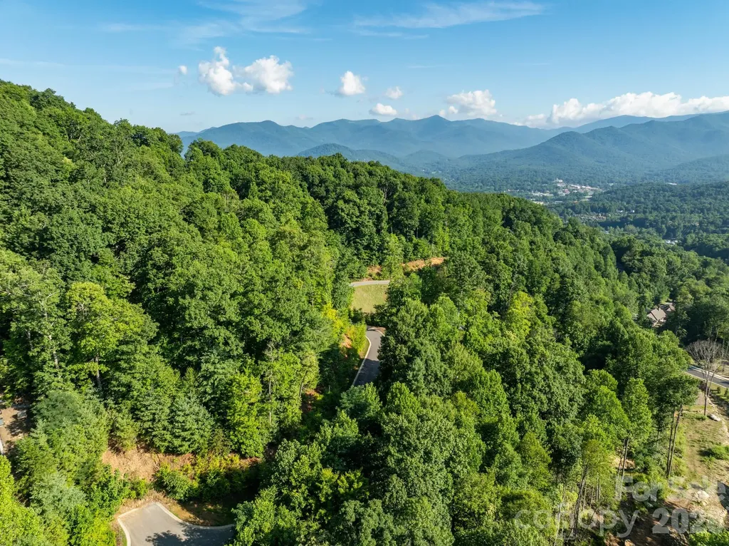 59 Old Greybeard Loop Black Mountain NC 28711