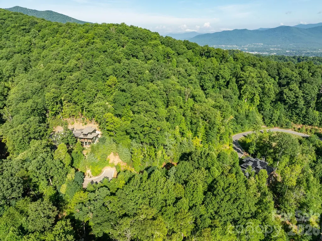 59 Old Greybeard Loop Black Mountain NC 28711