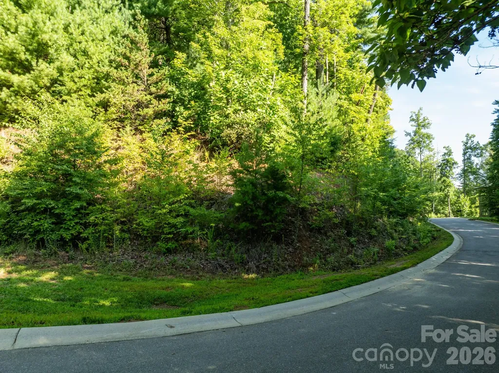 59 Old Greybeard Loop Black Mountain NC 28711