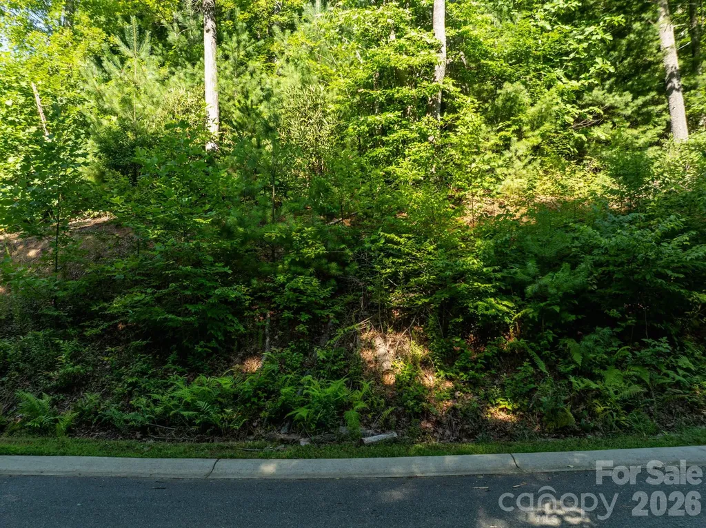 59 Old Greybeard Loop Black Mountain NC 28711