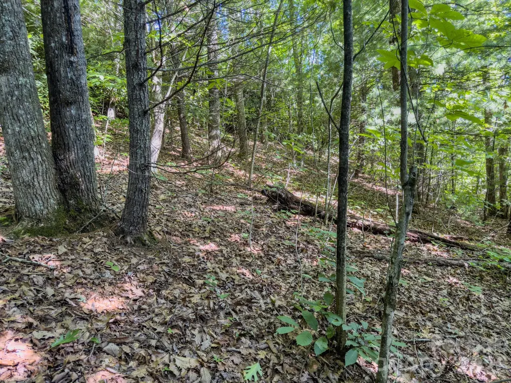 59 Old Greybeard Loop Black Mountain NC 28711