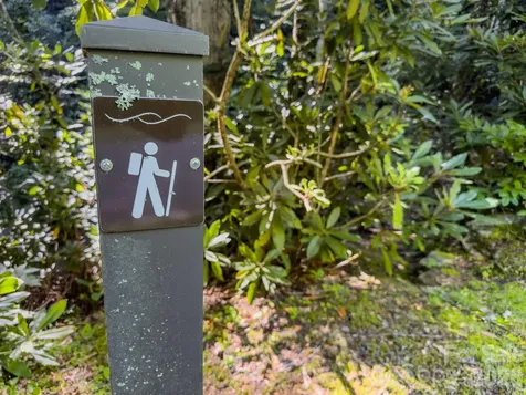 59 Old Greybeard Loop Black Mountain NC 28711