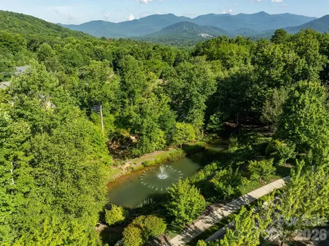 59 Old Greybeard Loop Black Mountain NC 28711