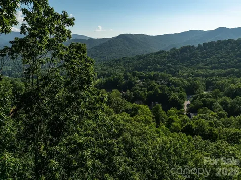 59 Old Greybeard Loop Black Mountain NC 28711