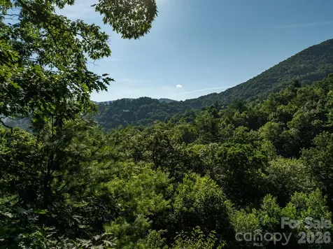 59 Old Greybeard Loop Black Mountain NC 28711