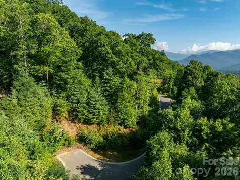 59 Old Greybeard Loop Black Mountain NC 28711