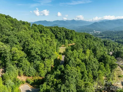 59 Old Greybeard Loop Black Mountain NC 28711