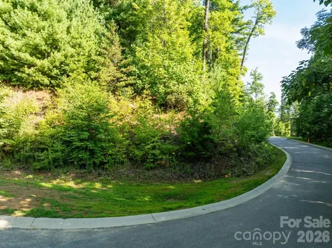 59 Old Greybeard Loop Black Mountain NC 28711
