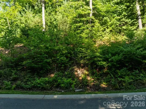 59 Old Greybeard Loop Black Mountain NC 28711