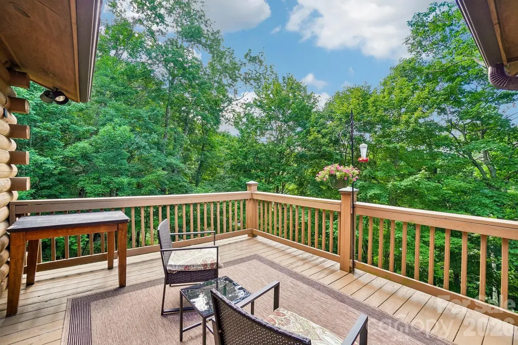 469 Tearshirt Lane Mars Hill NC 28754