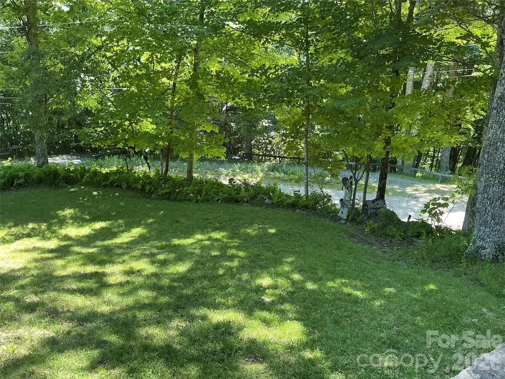 469 Tearshirt Lane Mars Hill NC 28754