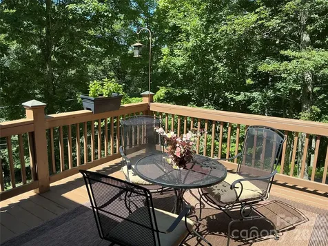 469 Tearshirt Lane Mars Hill NC 28754