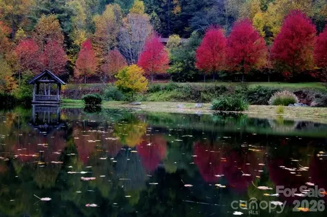 469 Tearshirt Lane Mars Hill NC 28754