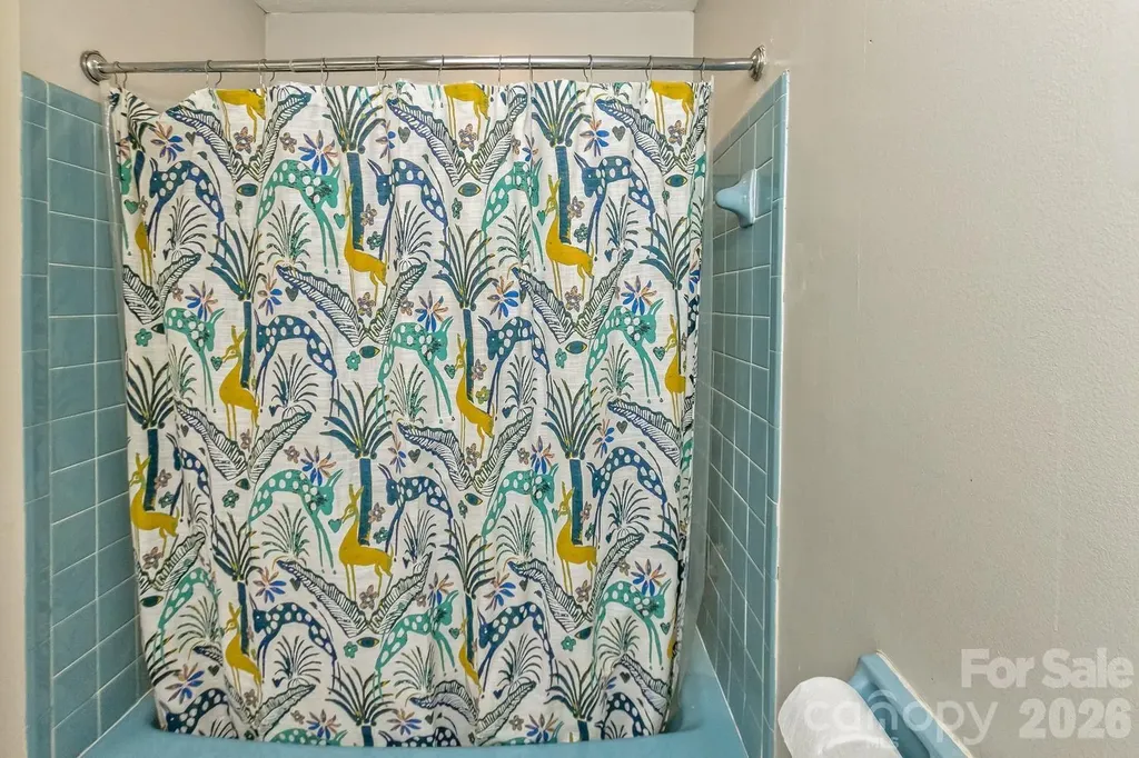 17 Rhododendron Place Asheville NC 28805