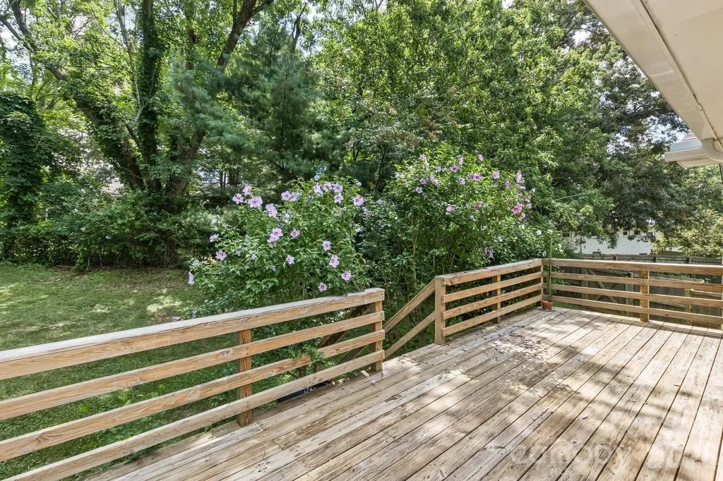 17 Rhododendron Place Asheville NC 28805