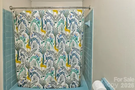 17 Rhododendron Place Asheville NC 28805
