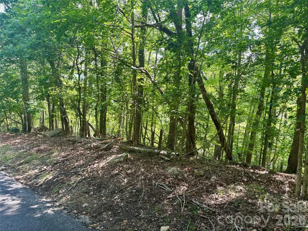 Lot 13 Crab Apple Court Lake Lure NC 28746