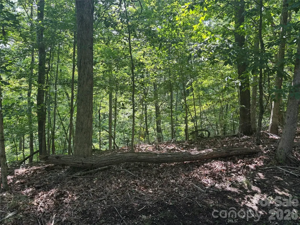 Lot 13 Crab Apple Court Lake Lure NC 28746