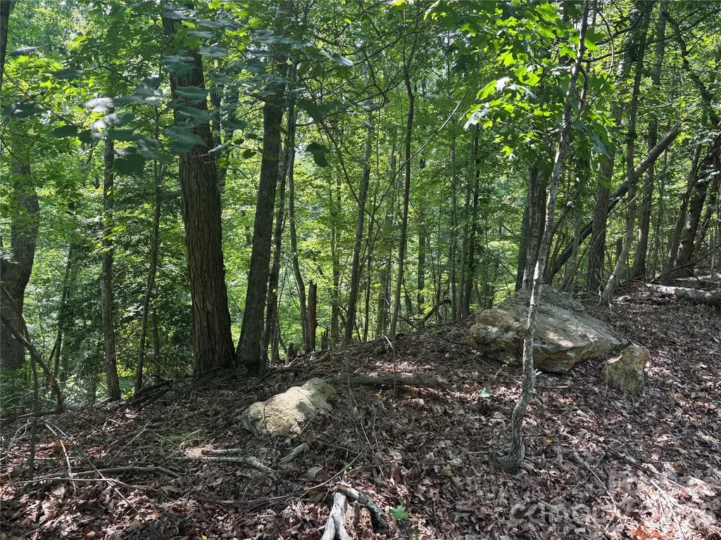 Lot 13 Crab Apple Court Lake Lure NC 28746