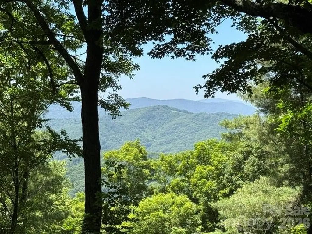 1209 Mckinney Gap Drive Mars Hill NC 28754