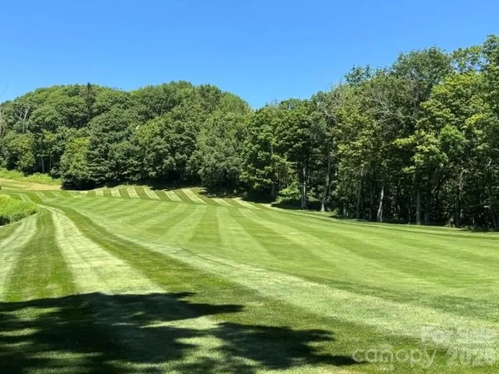 1209 Mckinney Gap Drive Mars Hill NC 28754