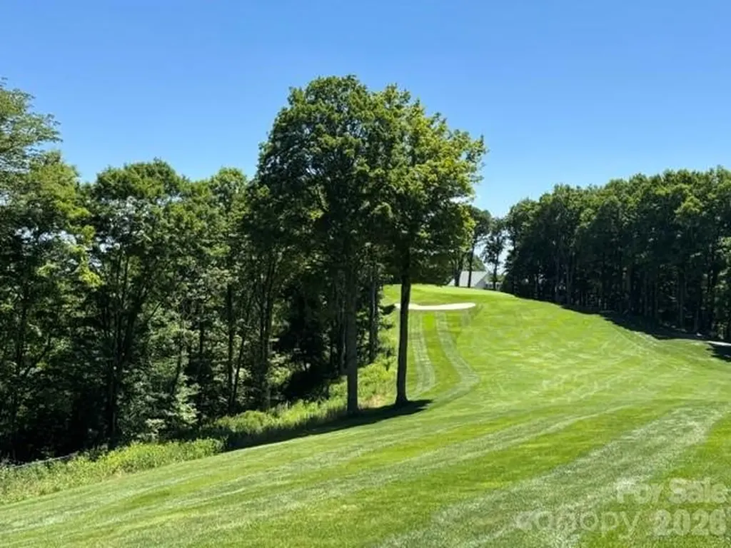 1209 Mckinney Gap Drive Mars Hill NC 28754