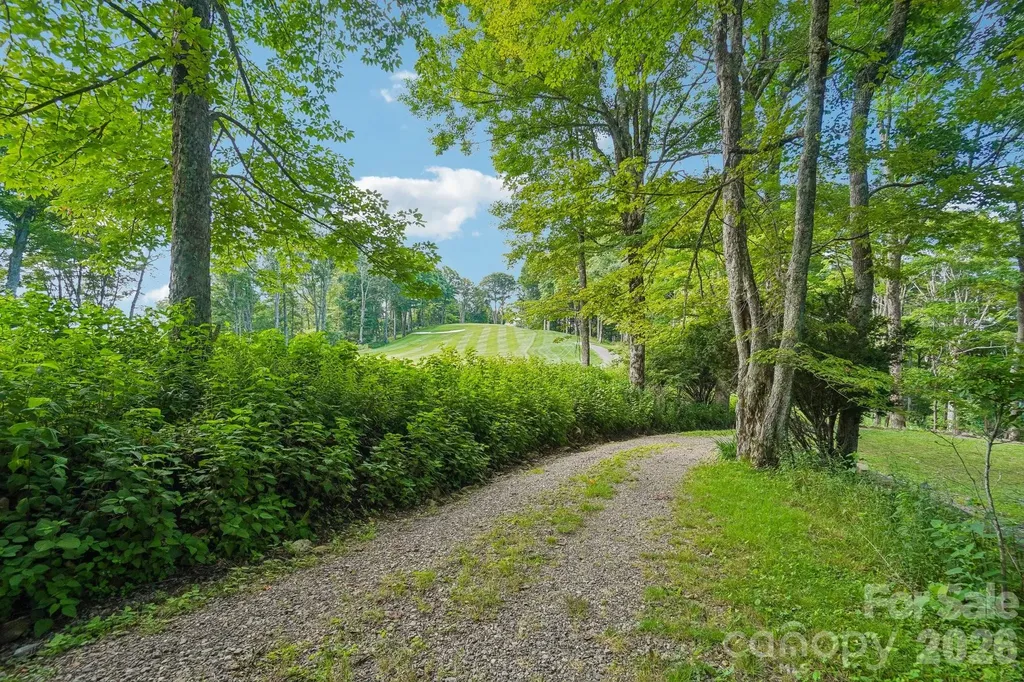1209 Mckinney Gap Drive Mars Hill NC 28754