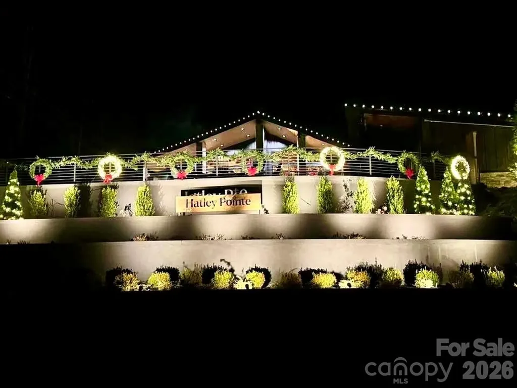 1209 Mckinney Gap Drive Mars Hill NC 28754