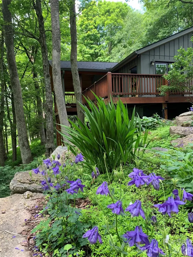 1209 Mckinney Gap Drive Mars Hill NC 28754