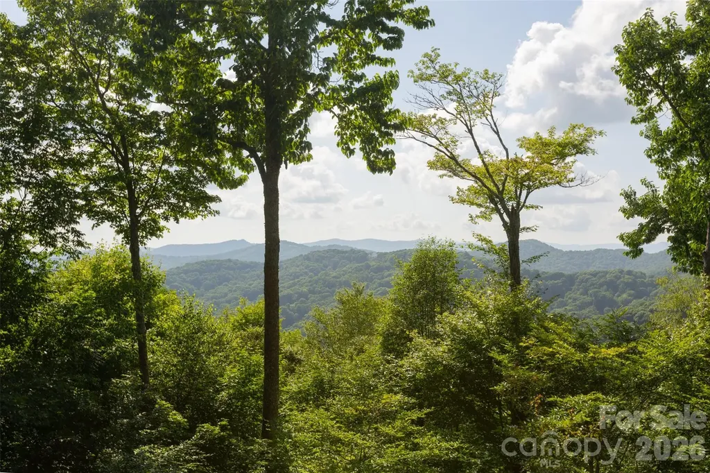 3182 El Miner Drive Mars Hill NC 28754