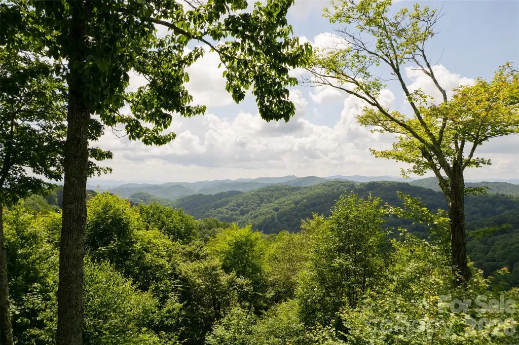 3182 El Miner Drive Mars Hill NC 28754