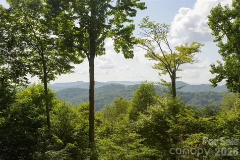 3182 El Miner Drive Mars Hill NC 28754