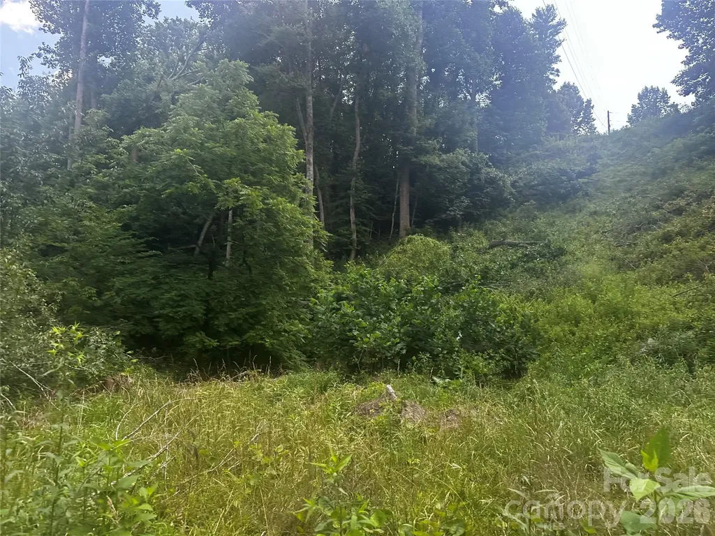 674 John Sparks Road Bakersville NC 28705