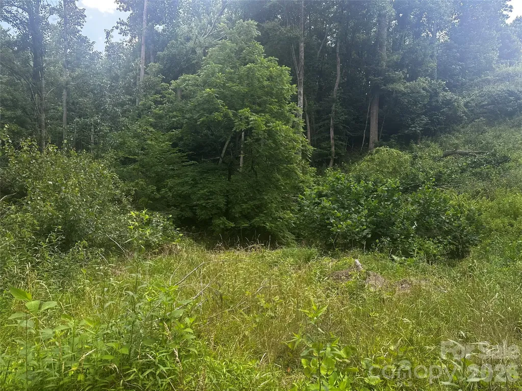 674 John Sparks Road Bakersville NC 28705